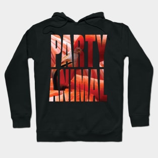 Party Animal Flamingo Hoodie